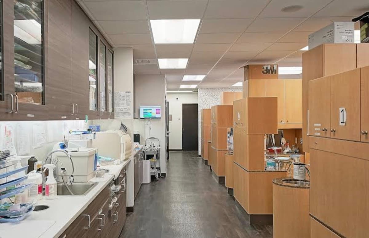 Treatment area with modern dental equipment